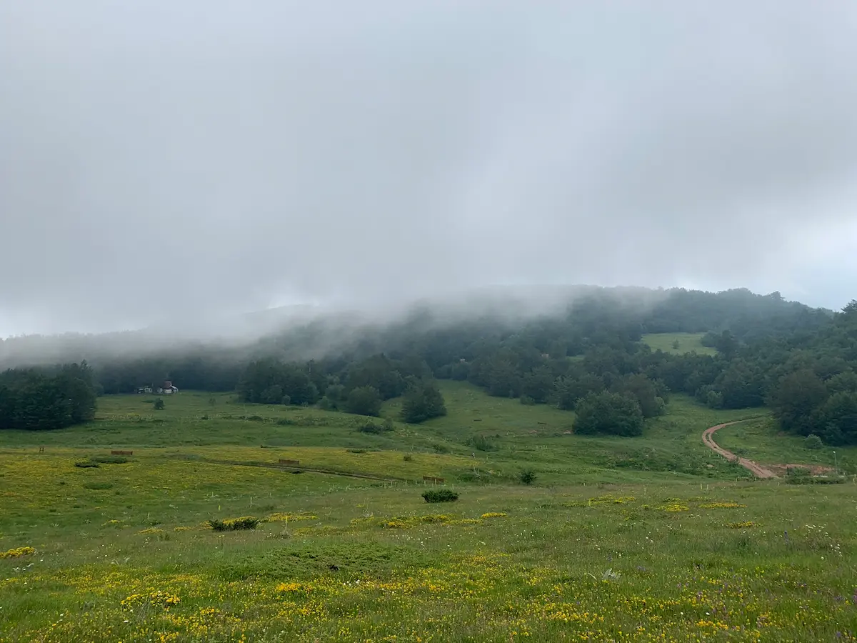 Stara planina u magli – mistični planinski pejzaž iznad zelenih dolina