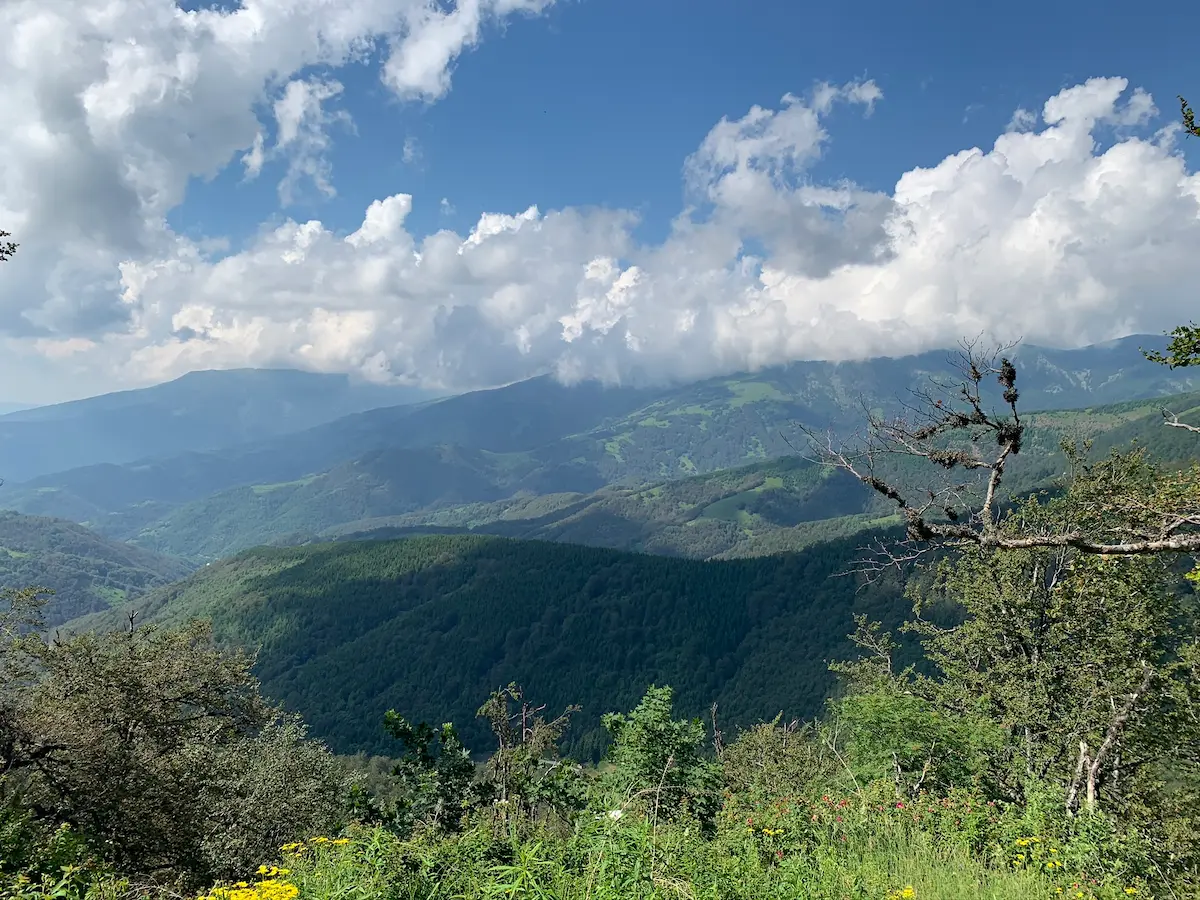 Pogled sa vrha Stare planine na dolinu ispod – panorama jugoistočne Srbije